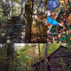 Collage image of a forested area featuring hidden objects and the remains of built structures, including a small one-story, wooden-planked building and a stone structure